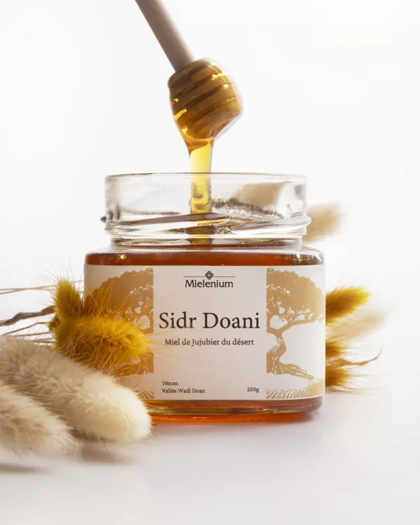 Sidr Doani Miel de jujubier